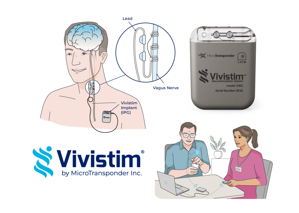 Illustrations & Animations visual