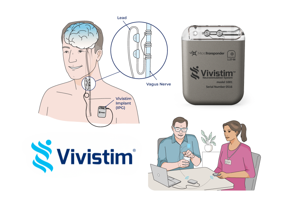 Illustrations & Animations visual